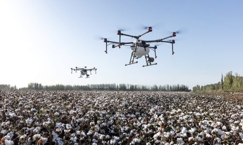 Agriculture Industry needs Technology Innovation Investment