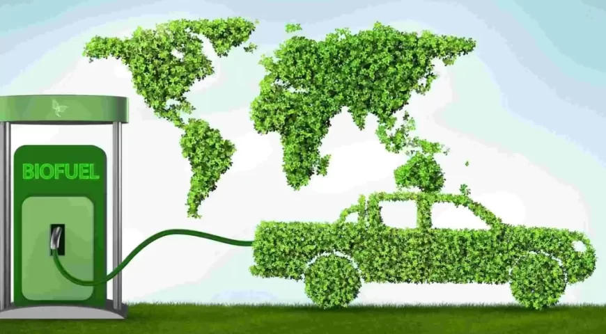 The Global Biofuels Alliance: Well Begun is Half Done