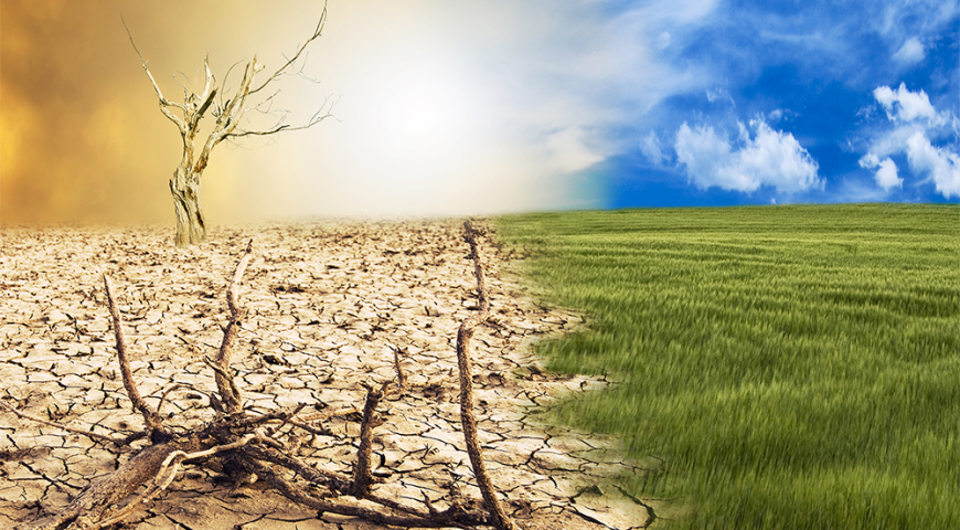 India’s Role in Climate Resilience and Global Climate Diplomacy